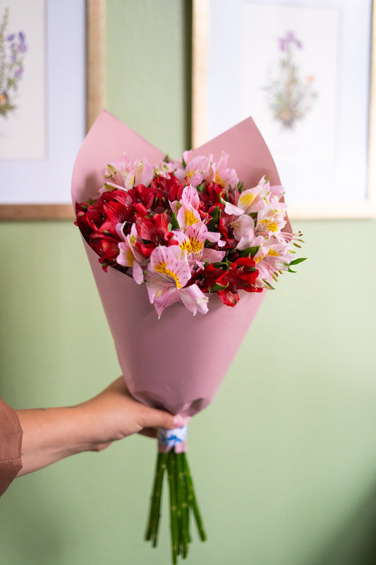 Ramo alstromelias bicolor