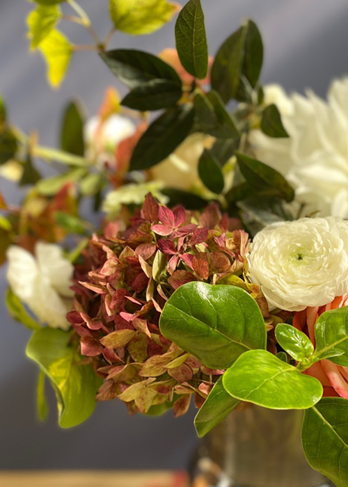 Cuidado de tus Flores <br><br>Revisa estos consejos para el cuidado de tus flores